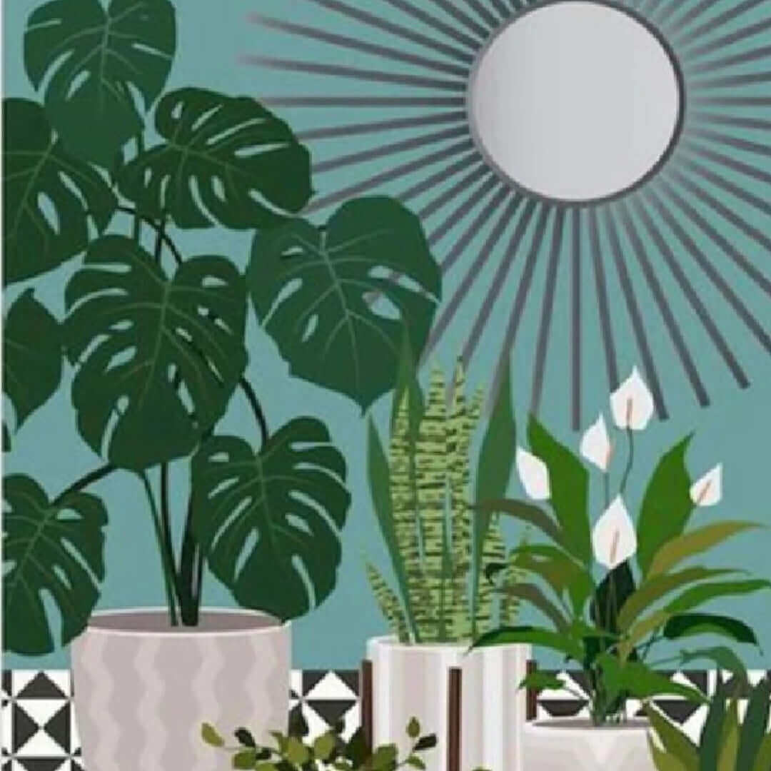 VALUHOUSE Premium Modern Home Decorations Set featuring stylish indoor plants and decorative sun mirror.